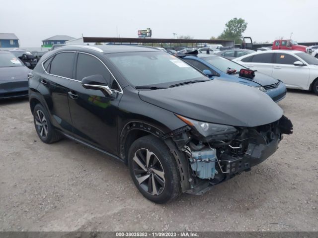 LEXUS NX 300 2019 jtjyarbz7k2144939