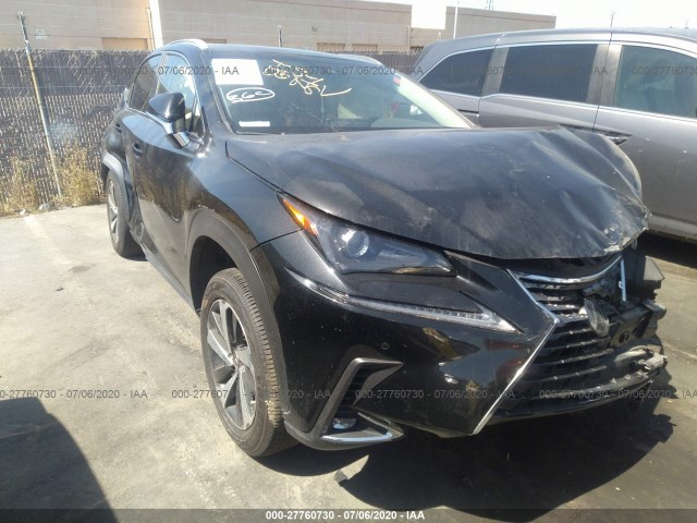 LEXUS NX 2019 jtjyarbz7k2156718