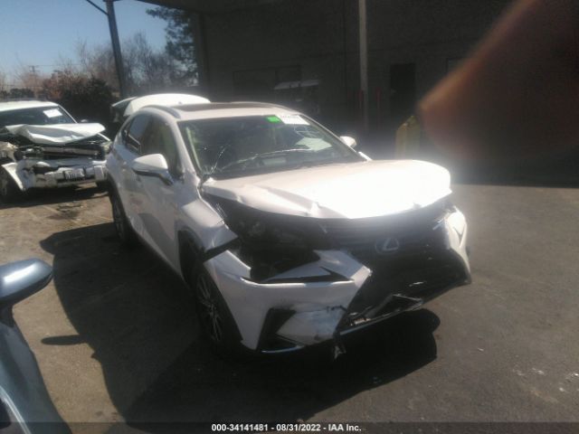 LEXUS NX 2019 jtjyarbz8k2118270