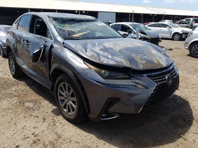 LEXUS NX 300 BAS 2019 jtjyarbz8k2130760