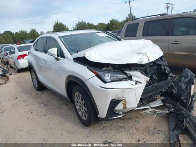 LEXUS NX 2019 jtjyarbz8k2142133