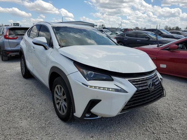 LEXUS NX 300 BAS 2019 jtjyarbz8k2142181