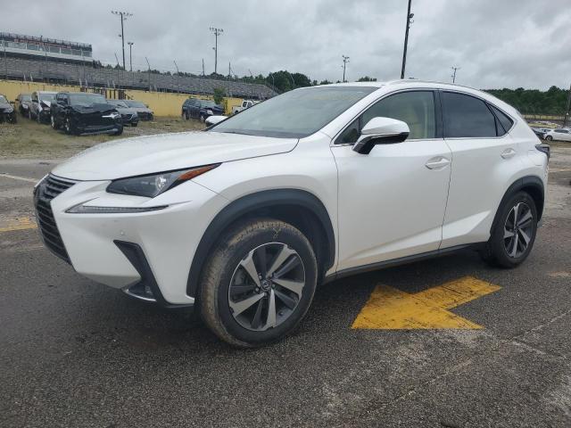 LEXUS NX 2019 jtjyarbz8k2143363