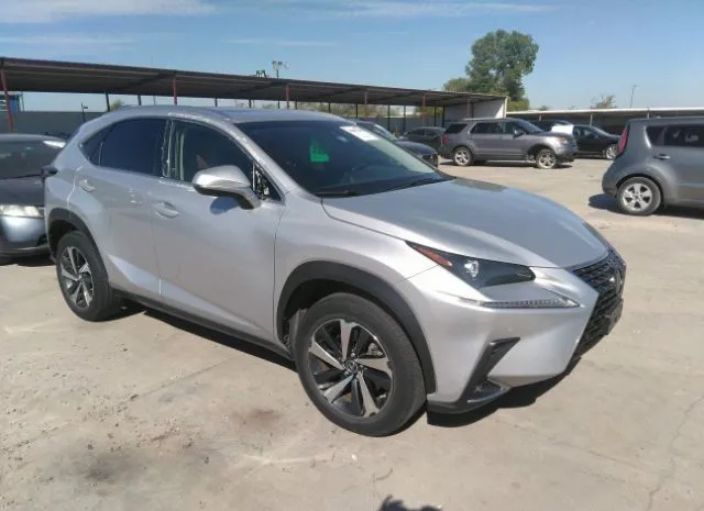 LEXUS NX 2019 jtjyarbz8k2144125