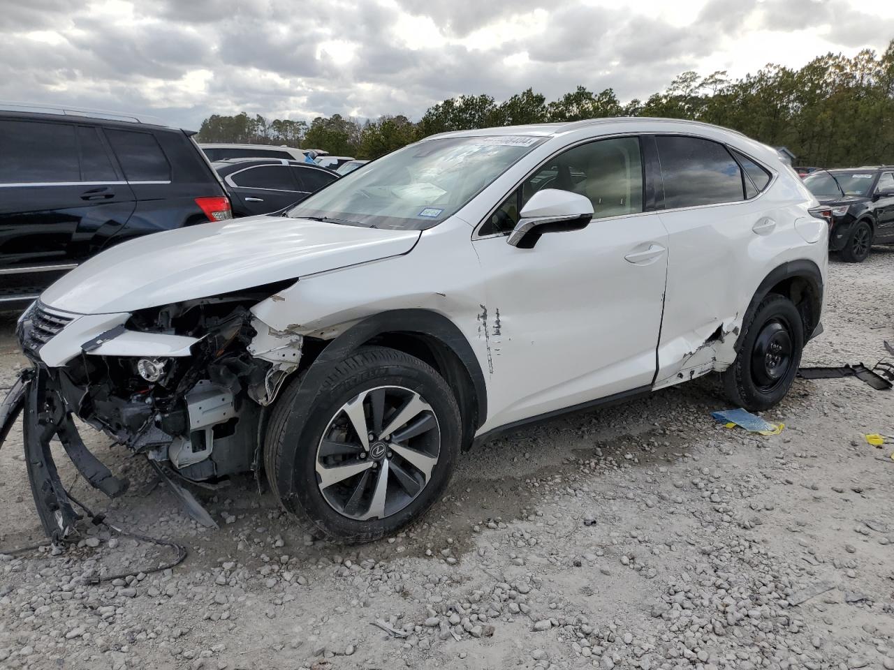 LEXUS NX 2018 jtjyarbz9j2106871