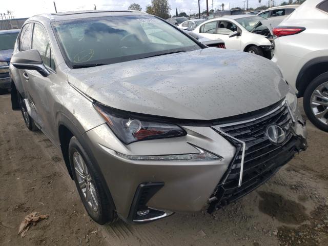 LEXUS NX 2019 jtjyarbz9k2129116