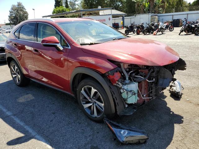 LEXUS NX 300 BAS 2019 jtjyarbz9k2132369