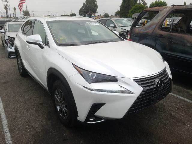 LEXUS NX 300 BAS 2019 jtjyarbz9k2148118