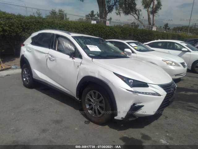 LEXUS NX 2019 jtjyarbz9k2148944