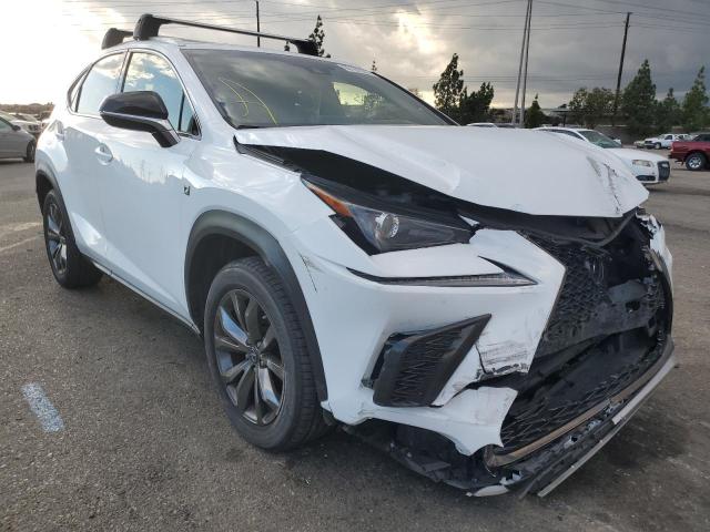 LEXUS NX 300 BAS 2019 jtjyarbz9k2150077