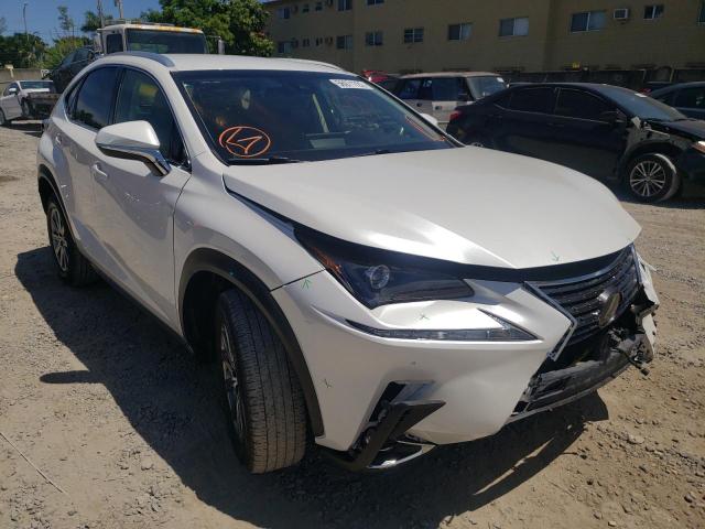 LEXUS NX 300 BAS 2019 jtjyarbz9k2151326