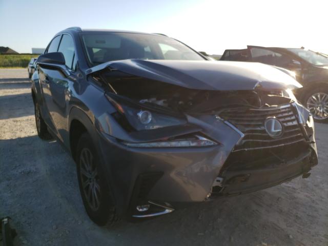 LEXUS NX 300 BAS 2019 jtjyarbz9k2157708