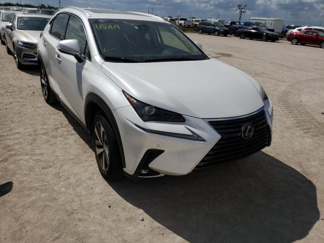 LEXUS NX 300 BAS 2019 jtjyarbzxk2117749