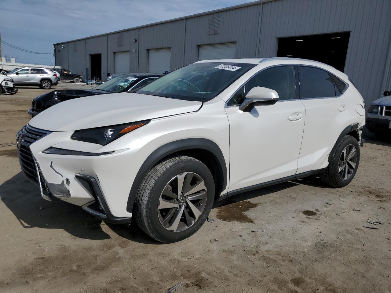 LEXUS NX 2019 jtjyarbzxk2143882