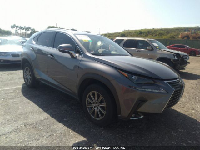 LEXUS NX 2019 jtjyarbzxk2145826