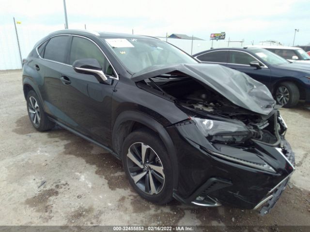 LEXUS NX 2019 jtjyarbzxk2148189