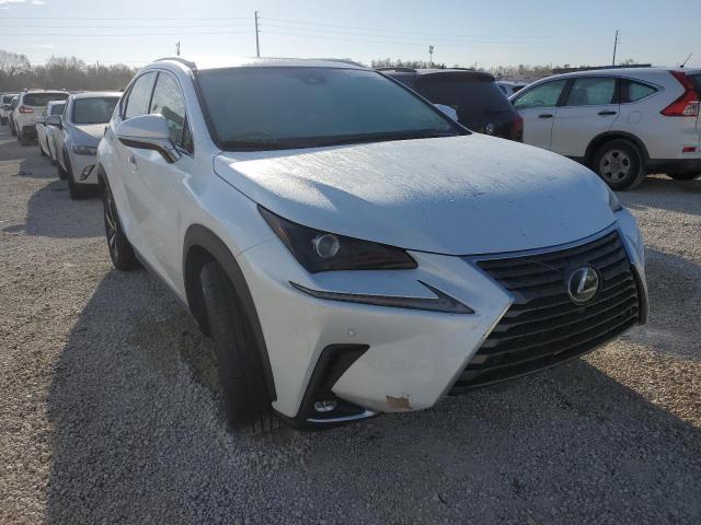 LEXUS NX 300 BAS 2019 jtjyarbzxk2154302