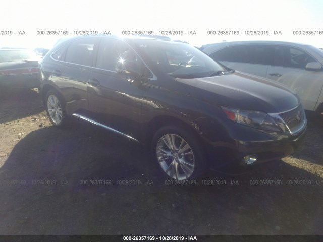 LEXUS RX 450H 2011 jtjzb1ba1b2405592