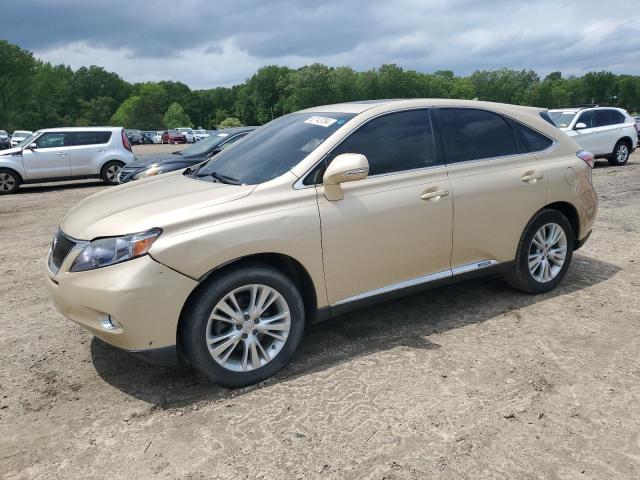 LEXUS RX450 2010 jtjzb1ba2a2000677