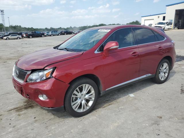 LEXUS RX 450H 2010 jtjzb1ba2a2004261