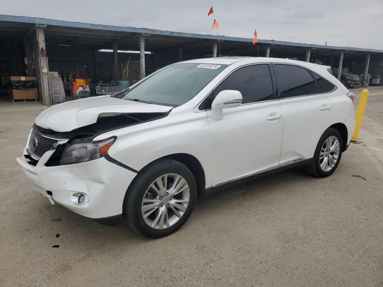 LEXUS RX 2010 jtjzb1ba2a2400657