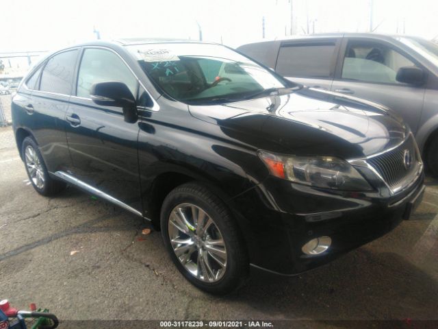 LEXUS RX 450H 2010 jtjzb1ba3a2003264