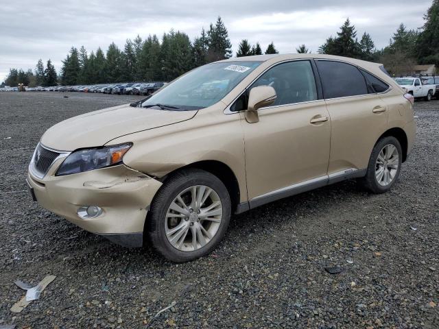 LEXUS RX450 2010 jtjzb1ba4a2001541