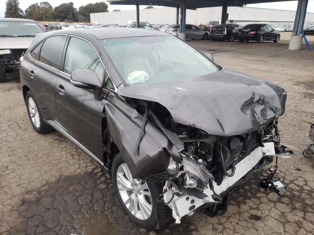 LEXUS RX 450 2010 jtjzb1ba5a2401771