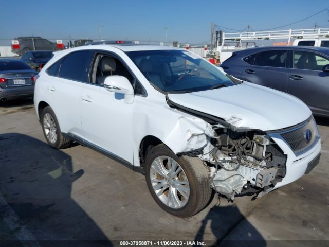 LEXUS NULL 2010 jtjzb1ba6a2002982