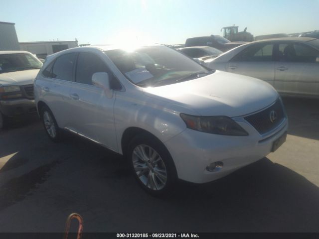 LEXUS RX 450H 2011 jtjzb1ba6b2404955