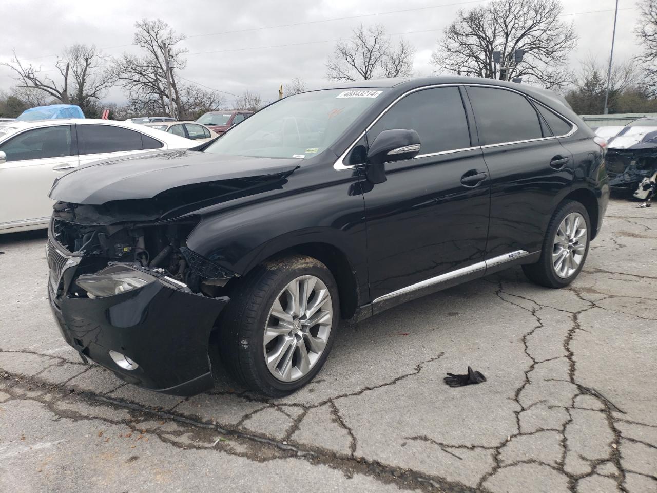 LEXUS RX 2010 jtjzb1ba8a2003700