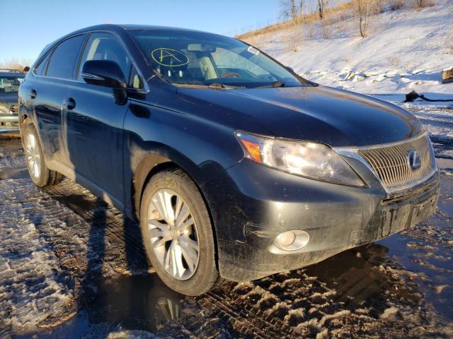 LEXUS RX 450 2010 jtjzb1baxa2003147