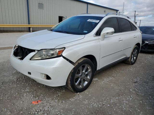 LEXUS RX 350 2010 jtjzk1ba4a2401244