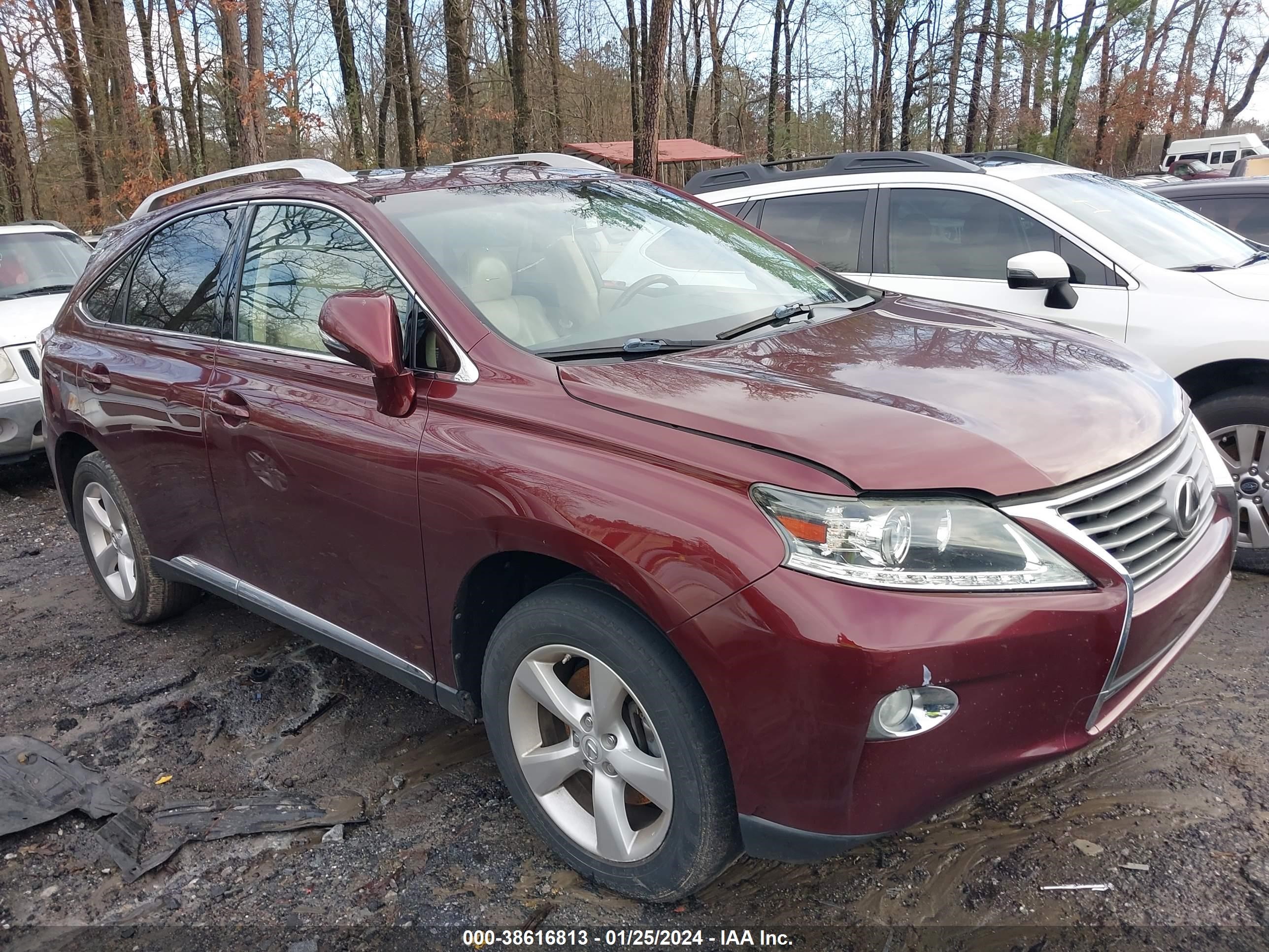 LEXUS RX 2015 jtjzk1ba8f2424159