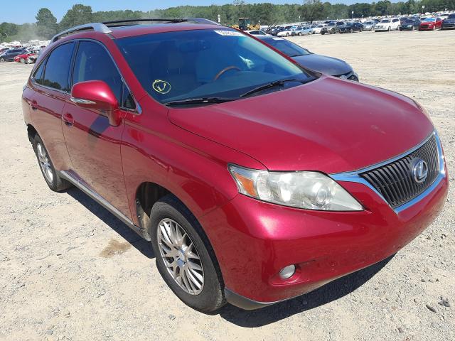 LEXUS RX 350 2010 jtjzk1ba9a2403457