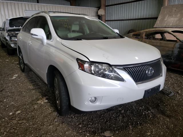 LEXUS RX 350 2010 jtjzk1baxa2406884