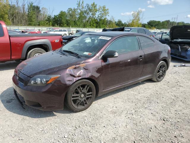 TOYOTA SCION TC 2010 jtkde3b70a0309184