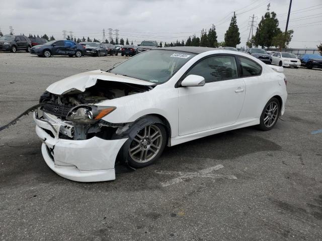 TOYOTA SCION TC 2010 jtkde3b76a0313983