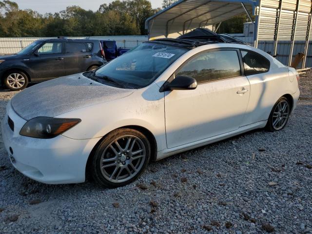 TOYOTA SCION TC 2010 jtkde3b79a0311385