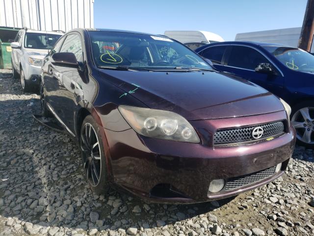 TOYOTA SCION TC 2010 jtkde3b7xa0313808