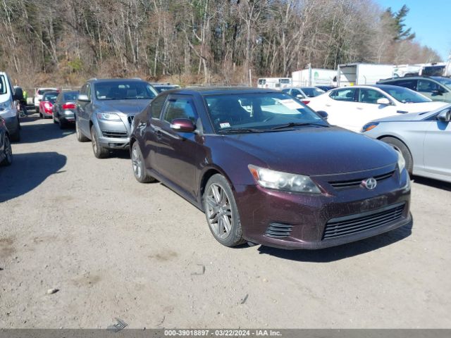 SCION TC 2011 jtkjf5c70b3010126