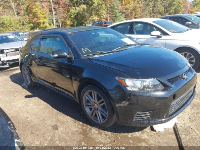 SCION TC 2011 jtkjf5c70b3016119