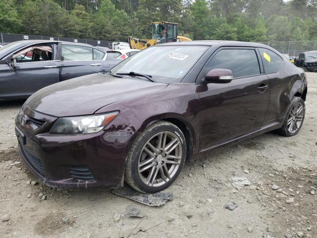 TOYOTA SCION TC 2011 jtkjf5c70b3016296