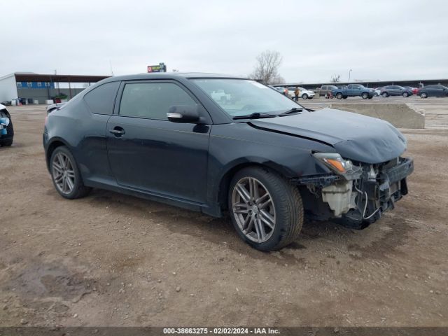 SCION TC 2013 jtkjf5c70d3066246