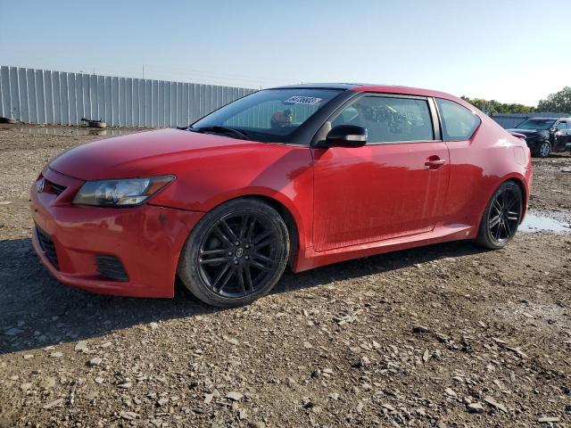 SCION TC 2013 jtkjf5c71d3054168