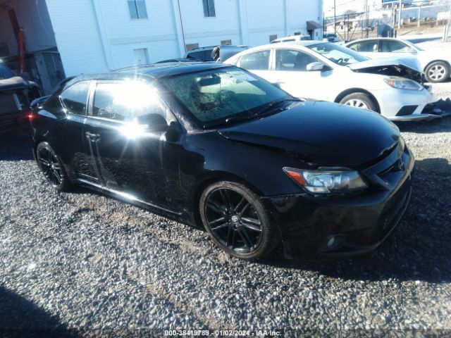 SCION TC 2013 jtkjf5c71d3064294