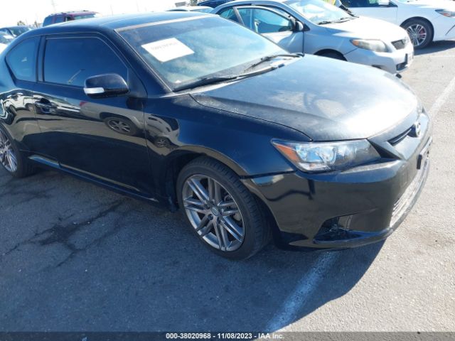 SCION TC 2013 jtkjf5c72d3061856