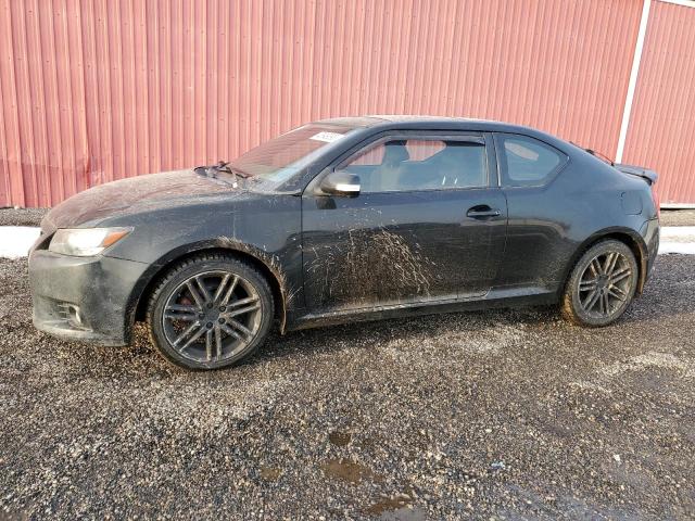 TOYOTA SCION TC 2012 jtkjf5c73c3036642