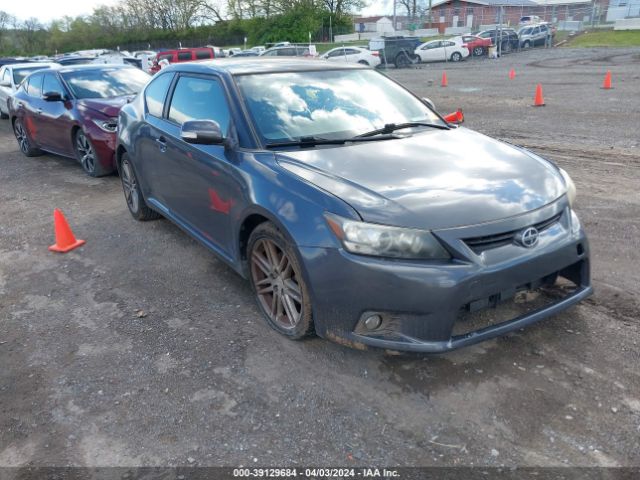 SCION TC 2013 jtkjf5c73d3053488