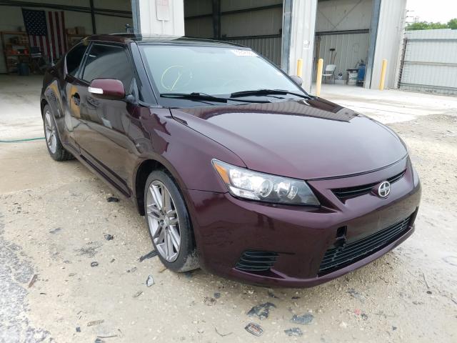 TOYOTA SCION TC 2011 jtkjf5c74b3009254